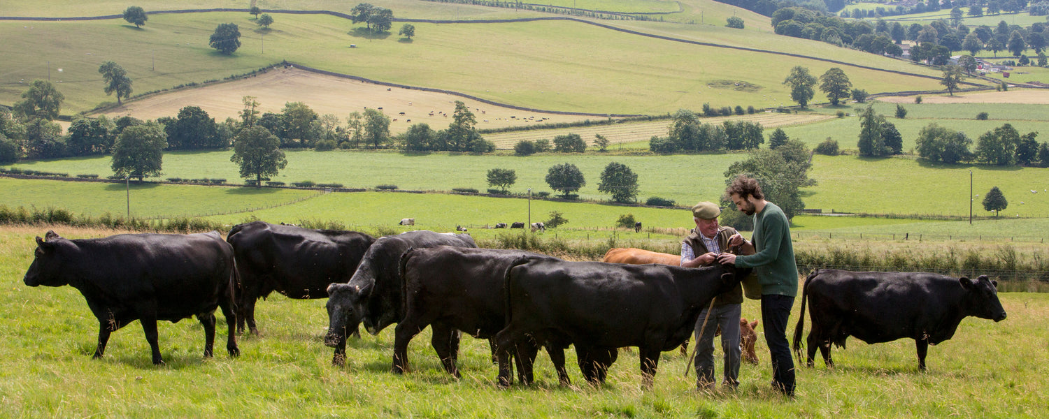 Swaledale Butchers