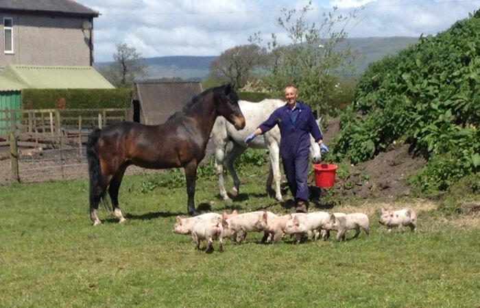 Swaledale Butchers
