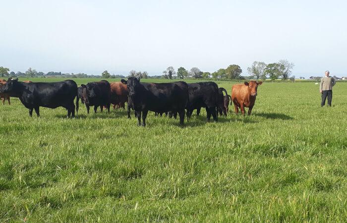 Swaledale Butchers