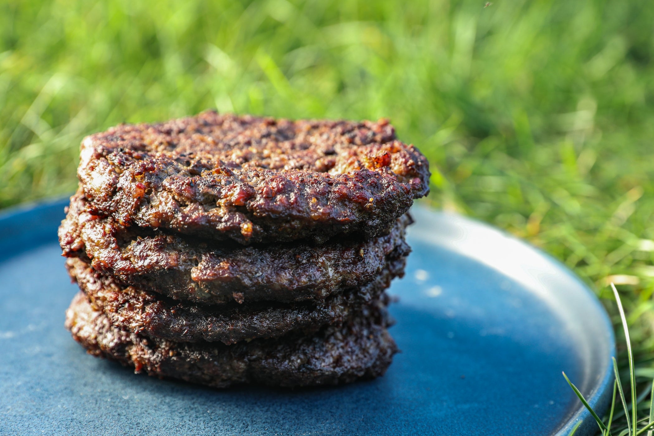 Venison Burgers