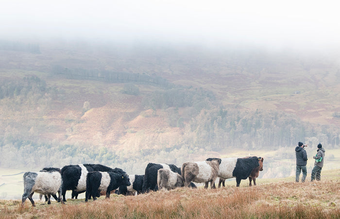 Swaledale Butchers