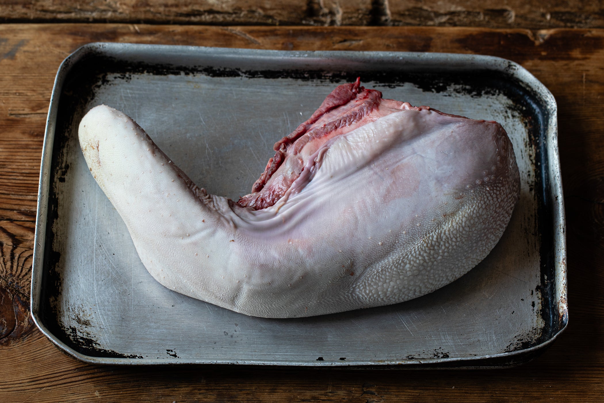 Ox Tongue