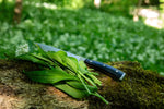 Pork & Wild Garlic Sausages