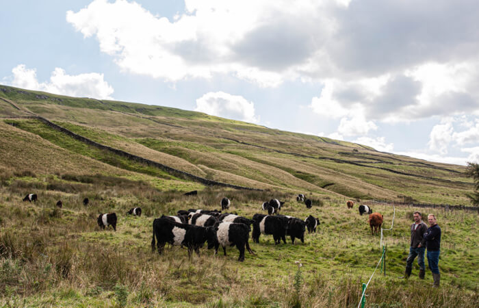 Swaledale Butchers