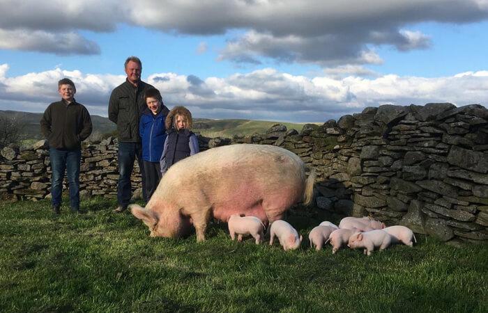 Swaledale Butchers