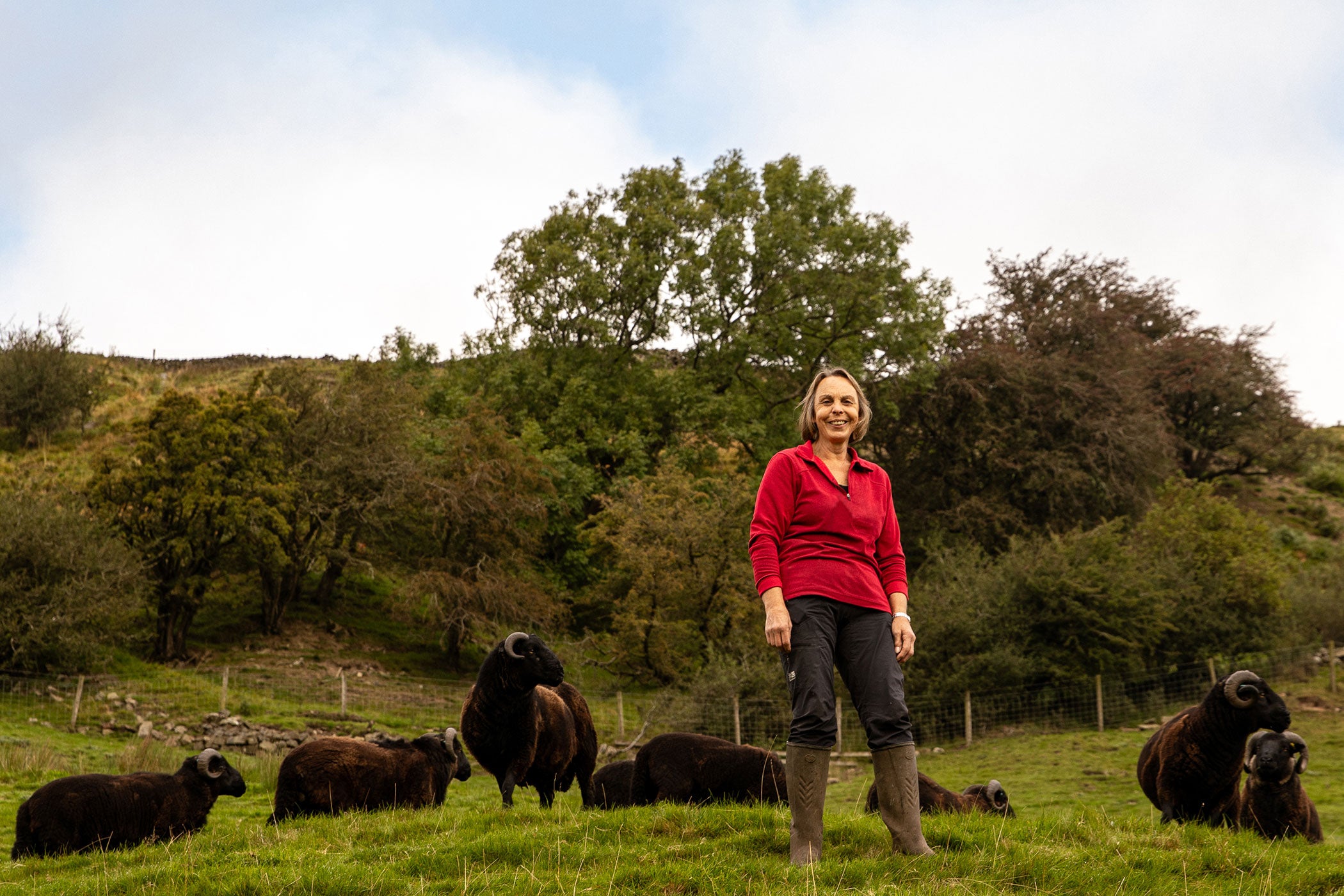 Hogget Meat Box – Black Welsh Mountain from Linda & Bill Price